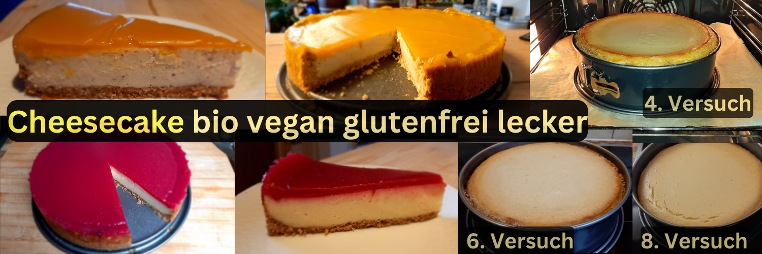 Cheesecake - bio vegan glutenfrei lecker